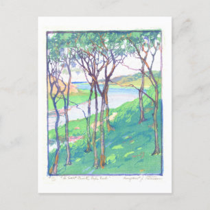 Salz Creek auf Cape Cod Druck Postkarte
