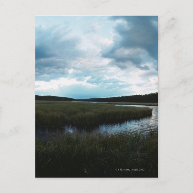 Salzmarsche Postkarte (Vorderseite)