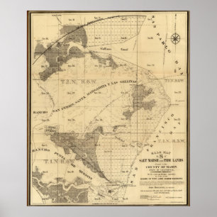 Salzmoor und Gezeitengebiete Poster