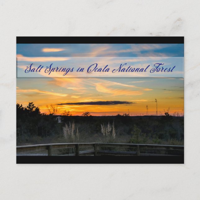 Salzstreuer Postkarte (Vorderseite)