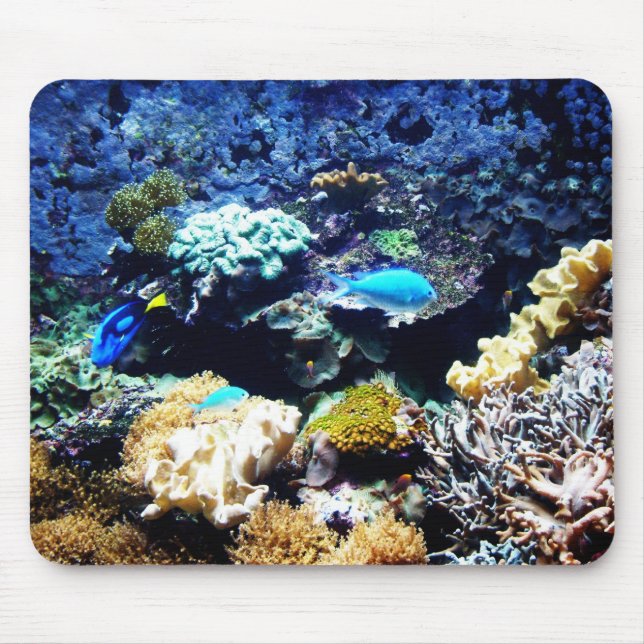 Salzwasser-Behälter mousepad 1 (Vorne)
