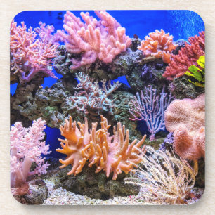 Salzwasseraquarium - Korallenriff Getränkeuntersetzer