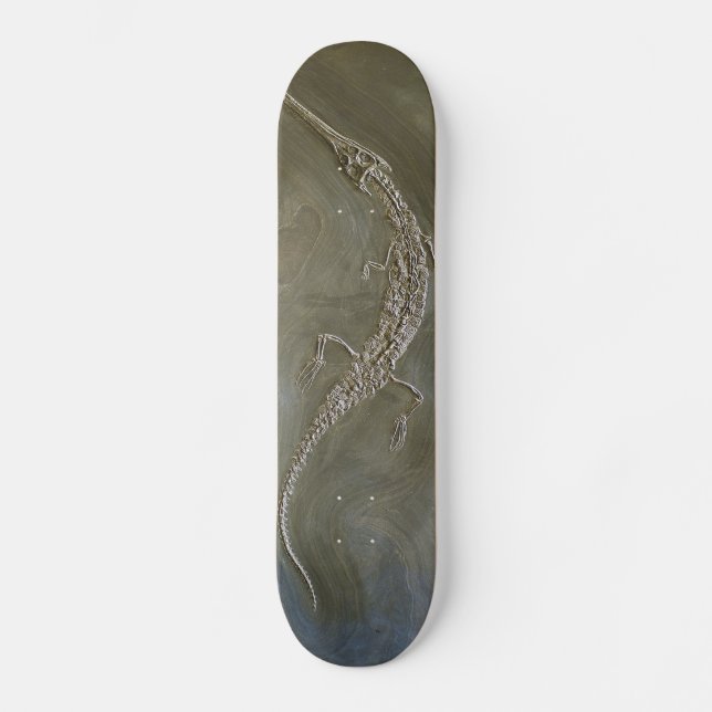 Salzwasserkrokodil versteinertes Steneosaurus Skateboard (Vorderseite)