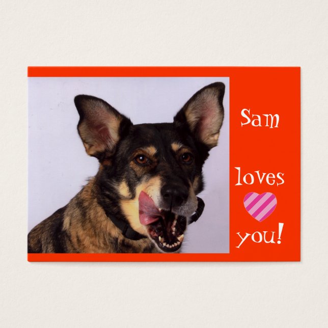 Sam-Angels an einem Leash (Vorderseite)