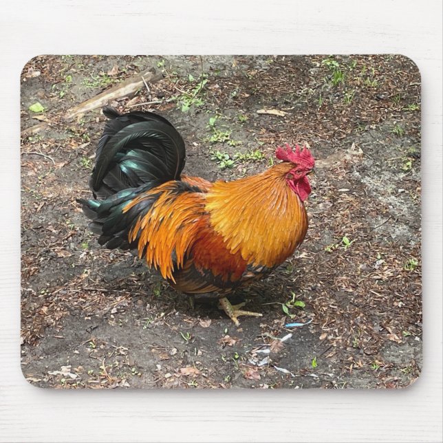 Sam The Rooster Mousepad (Vorne)
