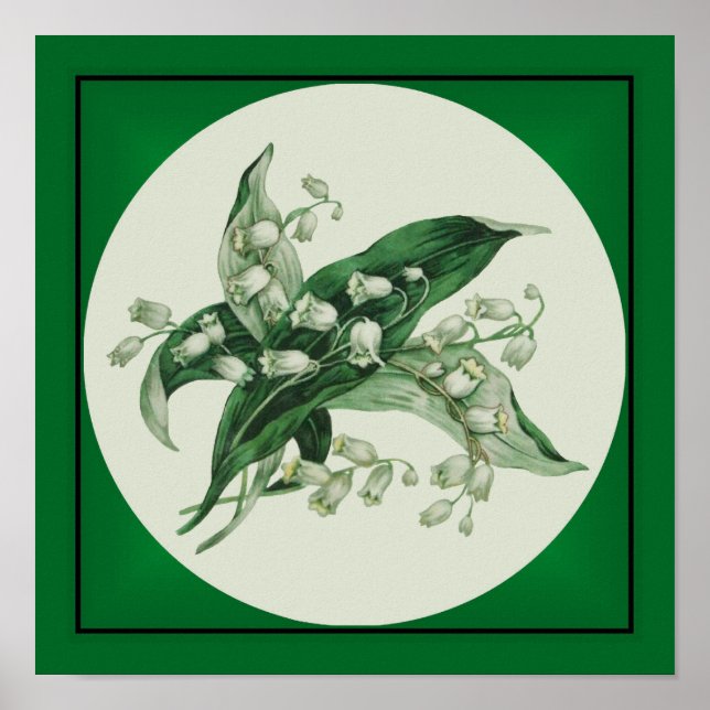 Samantha Lily 1 Poster (Vorne)