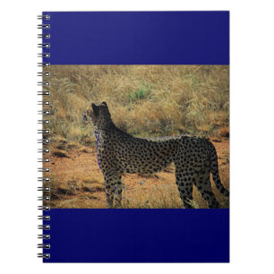 Samburu Cheetah Notizblock
