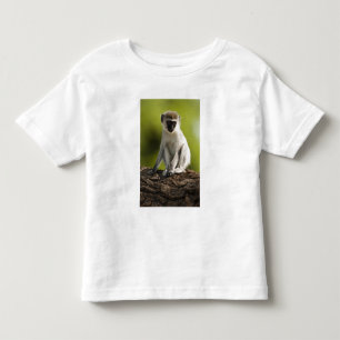 Samburu Game Reserve, Kenia, Vervet-Meerkatze, Kleinkind T-shirt