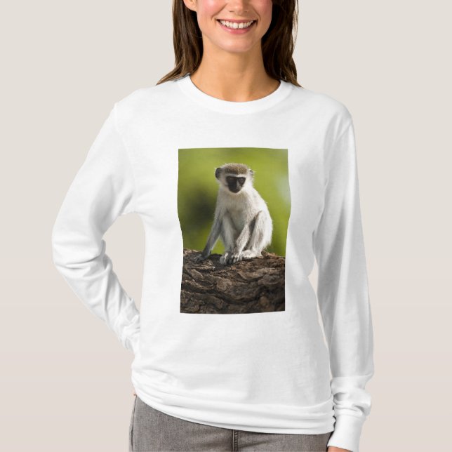 Samburu Game Reserve, Kenia, Vervet Monkey, T-Shirt (Vorderseite)