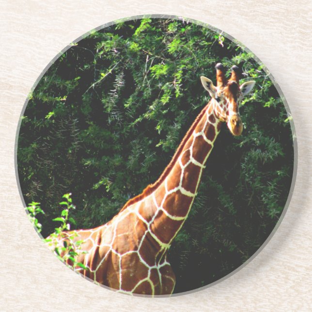 Samburu Giraffe Getränkeuntersetzer (Vorne)