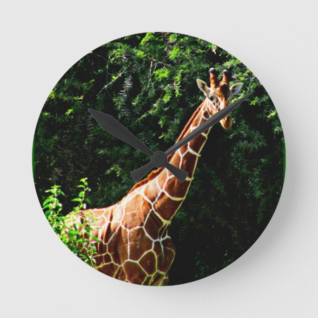 Samburu Giraffe Runde Wanduhr (Vorderseite)