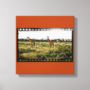 Samburu Giraffes Leinwanddruck