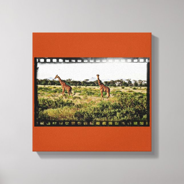 Samburu Giraffes Leinwanddruck (Vorderseite)