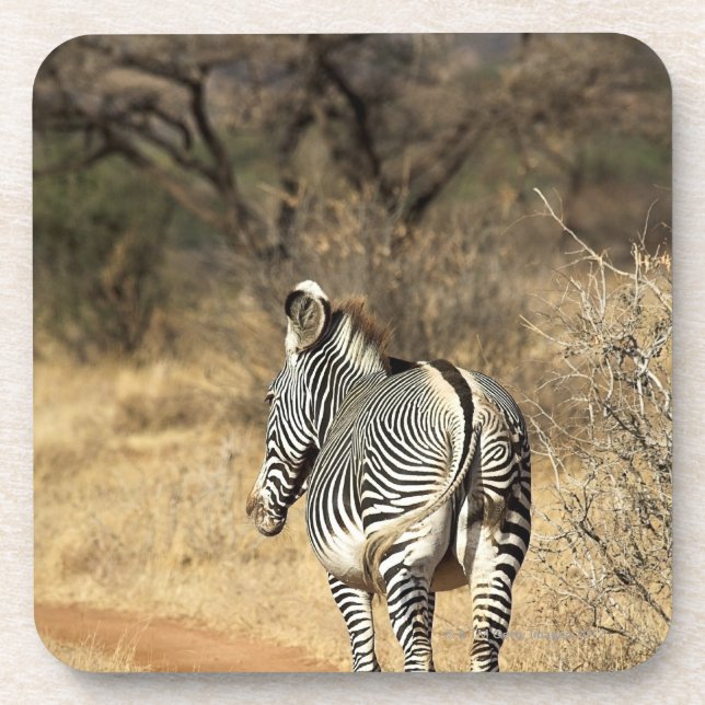 Samburu nationale Reserve, Kenia Getränkeuntersetzer (Vorderseite)