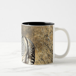 Samburu nationale Reserve, Kenia Zweifarbige Tasse