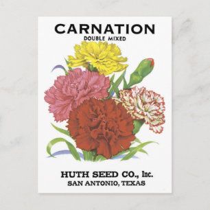 Samenetikett San Antonio Tx Vintage-Postkarte Postkarte