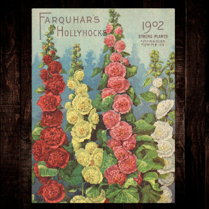 Samenpackung Rot Orange 1902 Stockrose Vintage Seidenpapier