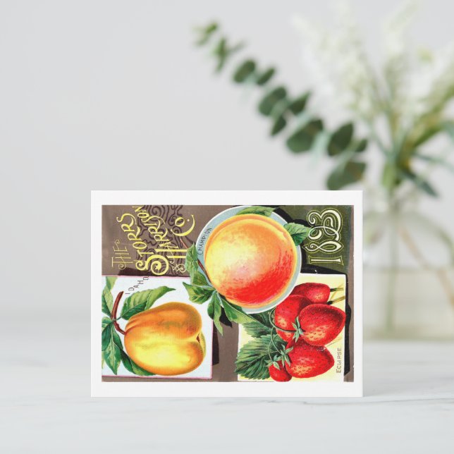 Samenpackungen.  postkarte (Stehend Vorderseite)