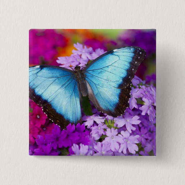 Sammamish Washington Tropical Butterfly Button (Vorderseite)