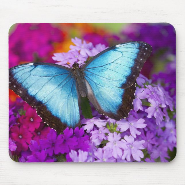 Sammamish Washington Tropical Butterfly Mousepad (Vorne)