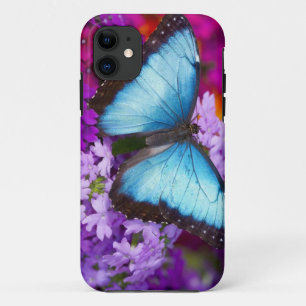 Sammamish Washington Tropischer Schmetterling Case-Mate iPhone Hülle
