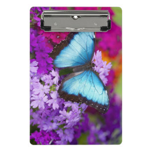 Sammamish Washington Tropischer Schmetterling Mini Klemmbrett