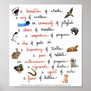 Sammelbezeichnungen: Poster