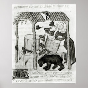 Sammeln des Honigs Poster