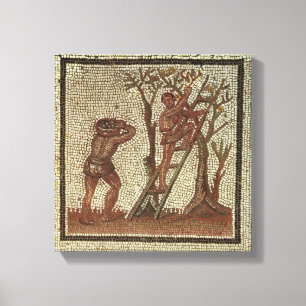 Sammeln-Frucht, römisches Mosaik Leinwanddruck