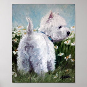 Sammeln-Gänseblümchen Poster