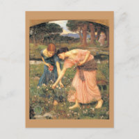 Sammeln von Rose während Ihres Mai - Frauen, die B