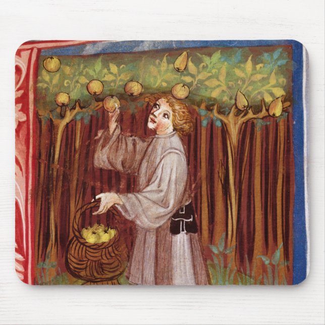Sammelnfrucht Mousepad (Vorne)