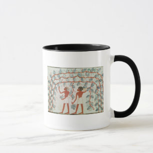 Sammelntrauben, vom Grab von Nakht Tasse