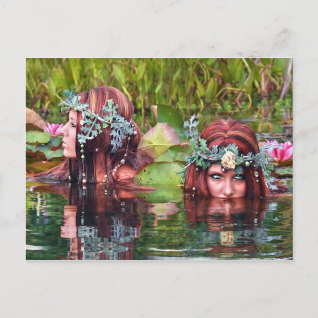 Sammler der Sisters Postkarte (Vorderseite)