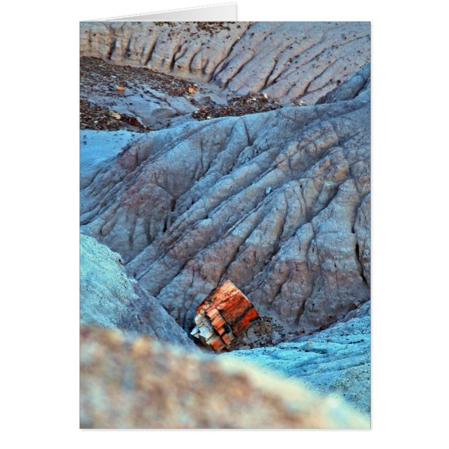 Sammlung "Broken Wood in Blue Canyon" (Vorne)
