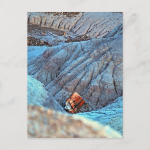 Sammlung "Broken Wood in Blue Canyon" Postkarte