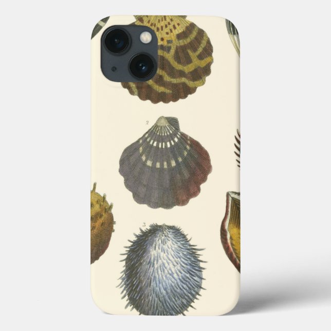 Sammlung der Konchologie Case-Mate iPhone Hülle (Rückseite)