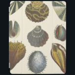 Sammlung der Konchologie iPad Hülle<br><div class="desc">Wenn Sie heute nicht an den Strand kommen, erhalten Sie dieses klassische Bild dieses einzigartigen Images von Albertus Seba! Stellen Sie sich einen Strand vor, der Meeresanemonen entdeckt, die die Natur zu bieten hat. Diese Muscheln und Pflanze am Meer sind in diesem Gemälde von warmem Sand umgeben und eignen sich...</div>