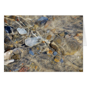 Sammlung "Ebb and Flow"