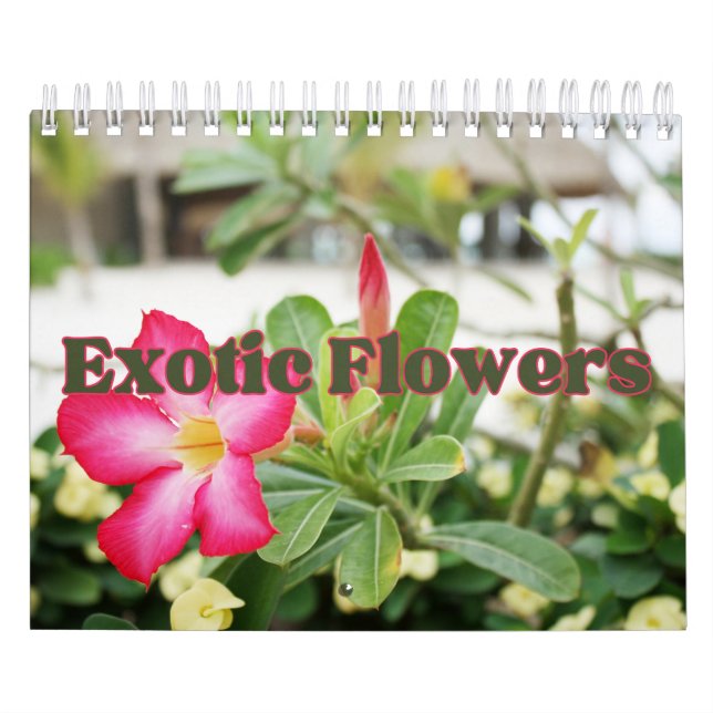 Sammlung exotischer Blume zeigt Wandkalender (Titelbild)