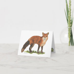 Sammlung Fuchs Notizkarte Karte