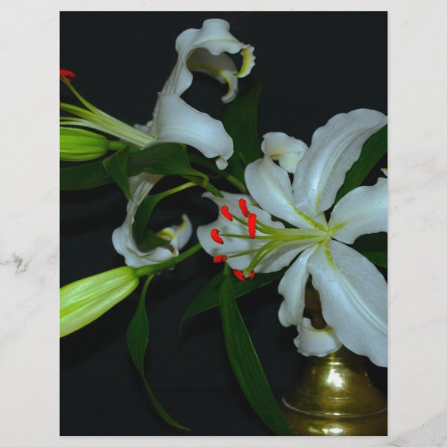 Sammlung irischer Muster und Blume (Vorderseite)