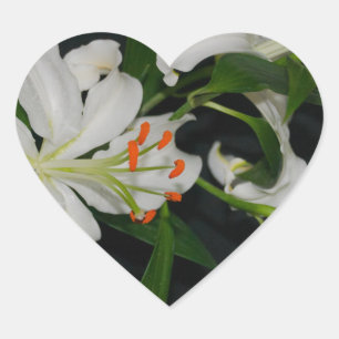 Sammlung irischer Muster und Blume Herz-Aufkleber