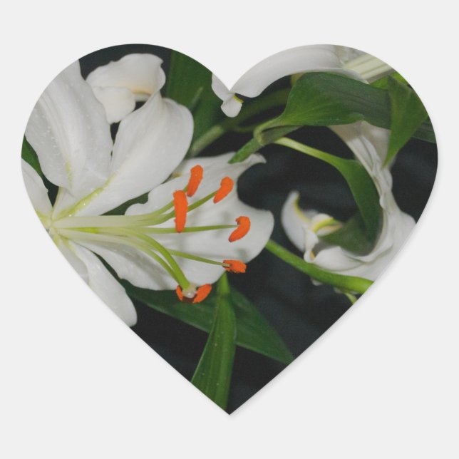 Sammlung irischer Muster und Blume Herz-Aufkleber (Vorderseite)