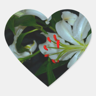 Sammlung irischer Muster und Blume Herz-Aufkleber