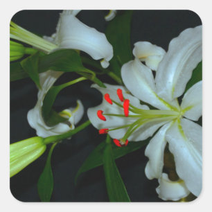 Sammlung irischer Muster und Blume Quadratischer Aufkleber