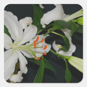 Sammlung irischer Muster und Blume Quadratischer Aufkleber