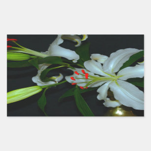 Sammlung irischer Muster und Blume Rechteckiger Aufkleber