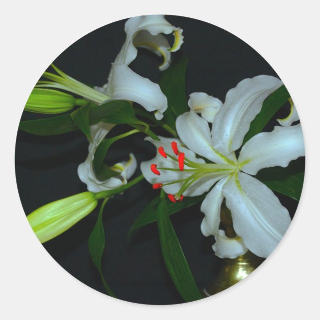 Sammlung irischer Muster und Blume Runder Aufkleber (Vorderseite)