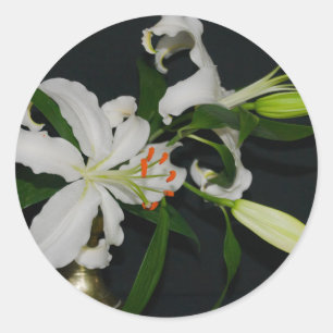 Sammlung irischer Muster und Blume Runder Aufkleber